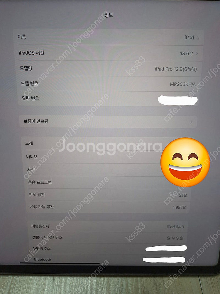 급처 아이패드 프로 M2 12.9 2TB 셀룰러 + 애...--2