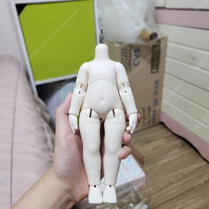 구체관절인형 수크레델 숏바디 판매합니다