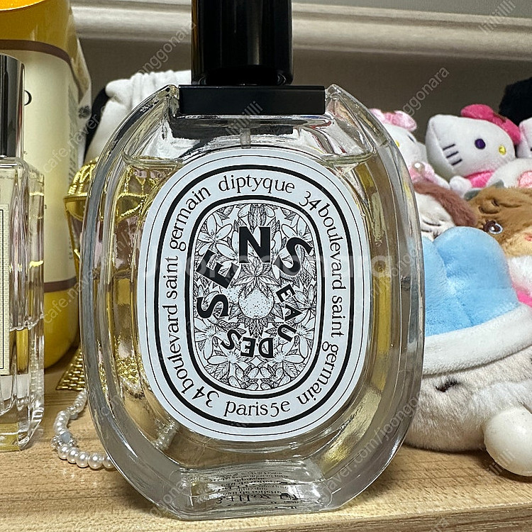 딥티크 오데썽 100ml 국문--0