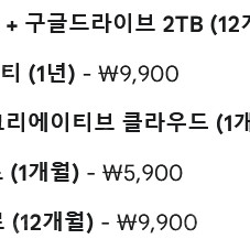 제미나이Gemini 12개월 , 퍼플렉시티perplexity 12개월 급처