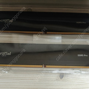 마이크론 크루셜 DDR5램 48gb(24gb 2개) 6000mhz