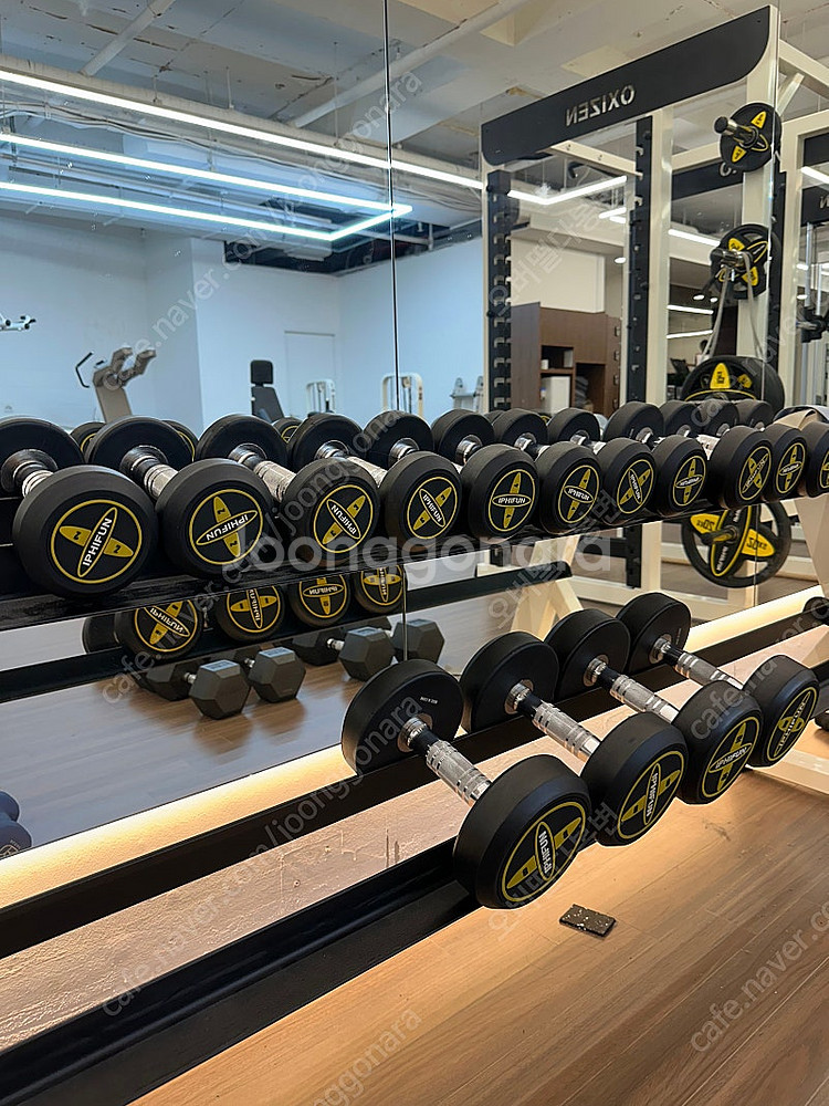 아이핏펀 덤벨 저중량 세트 2kg ~ 10kg 초A급--0