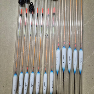 군계일학찌 오월이찌 오월이s찌 고급찌