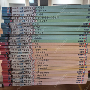 프뢰벨 생생다큐 자연관할 전집50권 외(택포