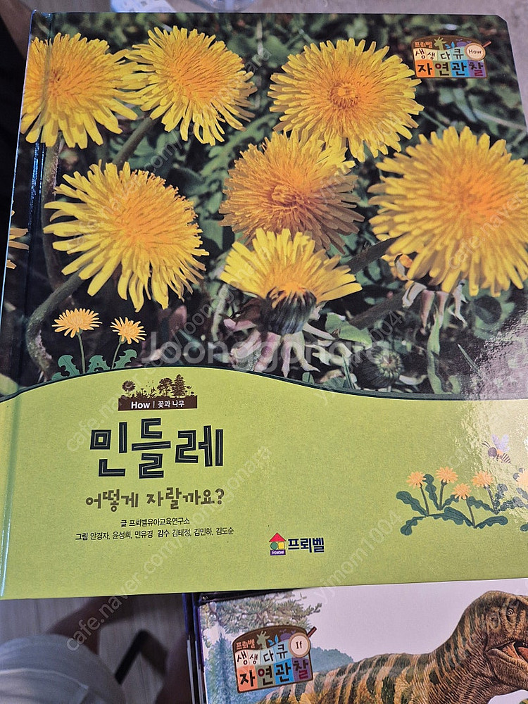 프뢰벨 생생다큐 자연관할 전집50권 외(택포--2