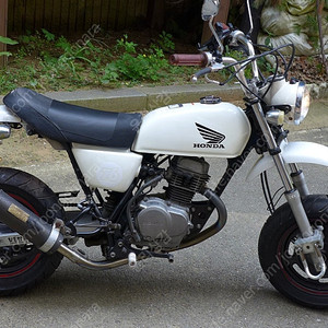 혼다 에이프50cc 전설의 소장품