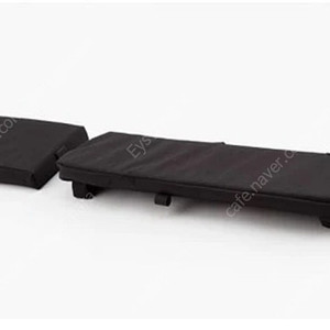 리즈앤뮐러 카고 바이크(전기자전거) 뒷좌석 쿠션 판매