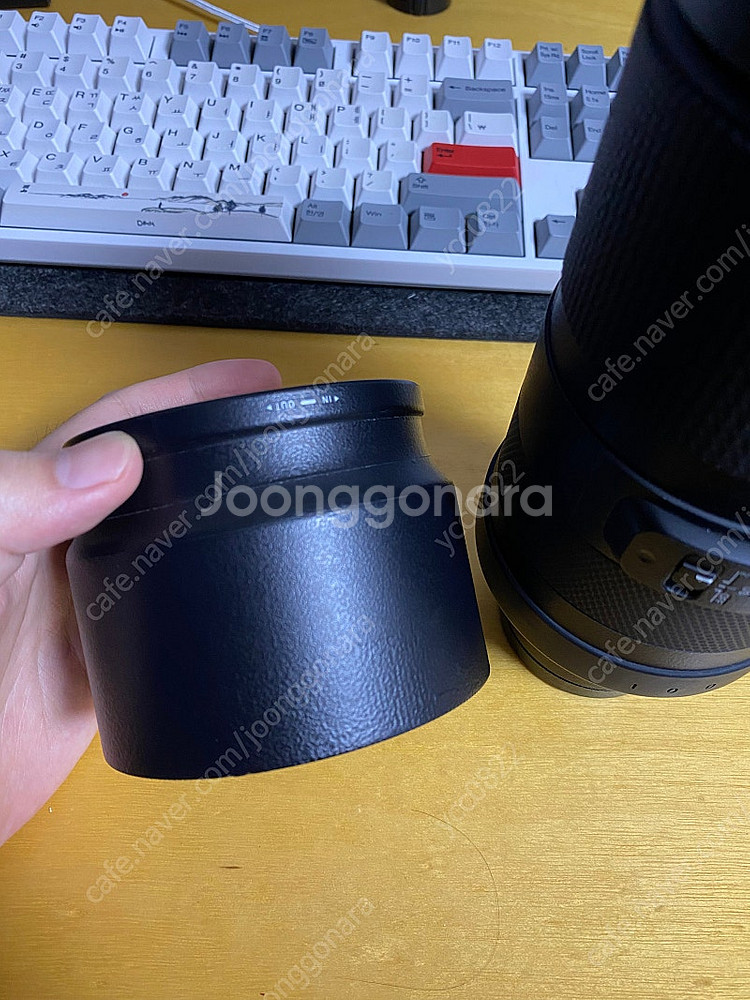 시그마 100-400 소니FE 마운트--6