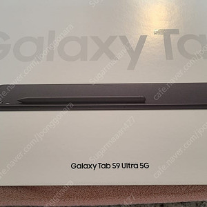[5G] 갤럭시탭 S9울트라 5G,256g_개인판매자