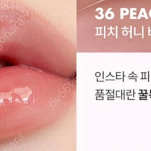 롬앤 쥬시래스팅 틴트 피치허니비 새제품