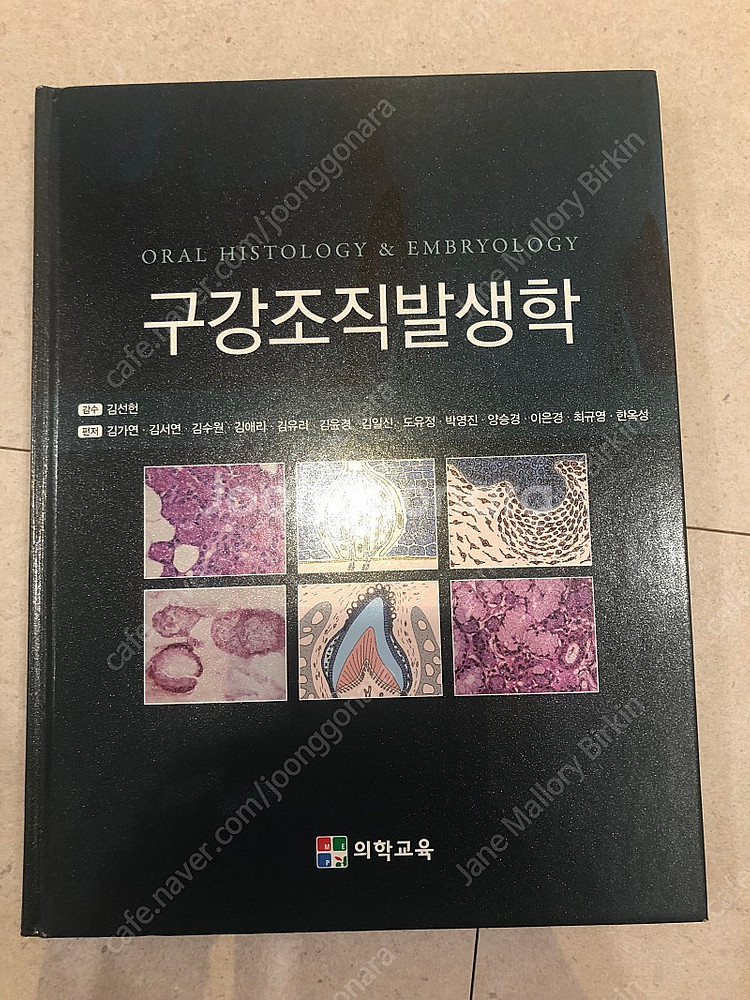 치위생과 교재(치주학 구강조직발생학 치과보존학 치위생학입문 치의학용어)--1