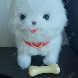 부르면 대답하는 몽실이ㅡ전시상품
