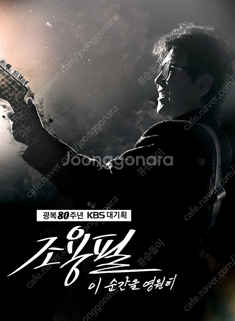 광복 80주년 조용필 콘서트 그라운드석 2연석 양도--0