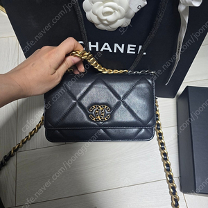 샤넬 woc 19 고트