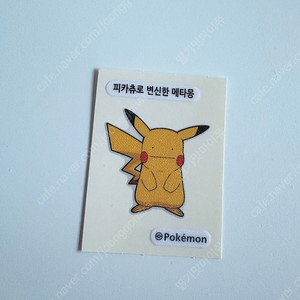 포켓몬 띠부씰