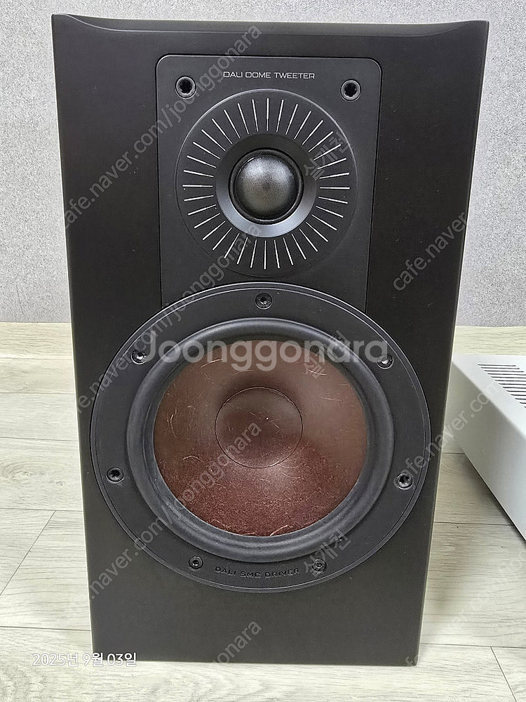 달리 옵티콘2 MK2 북셀프 스피커 판매--1