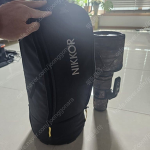 니콘 Z 800mm 6.3 싸게판매합니다