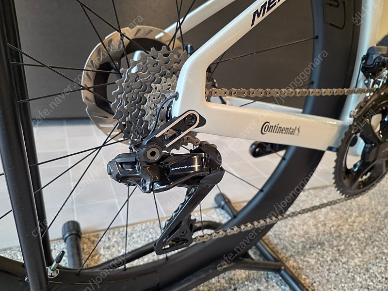 메리다 리엑토 팀 xs--2