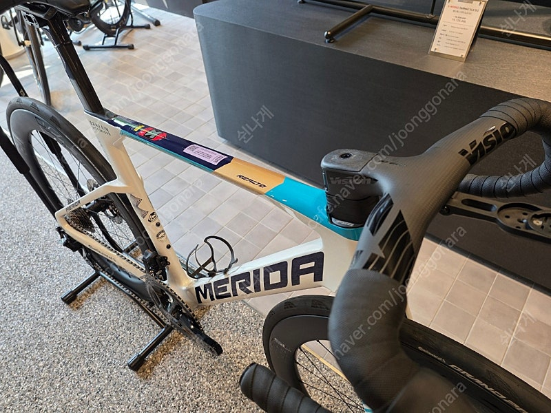 메리다 리엑토 팀 xs--3