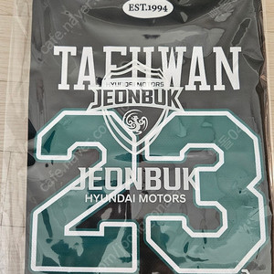 2025 전북현대 슬리브리스