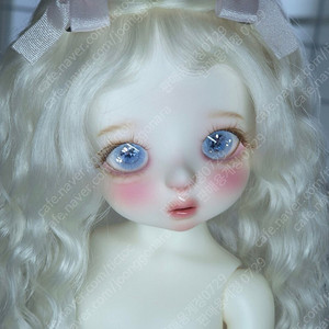 수이돌 바다 usd 헤드 24년분