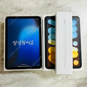 S급 아이패드 미니6 셀룰러+애플펜슬 2세대