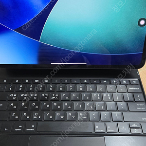 iPad Pro 13 M4 256GB 셀룰러