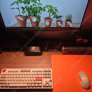 다얼유 키보드 마우스 무선셋트 팝니다.