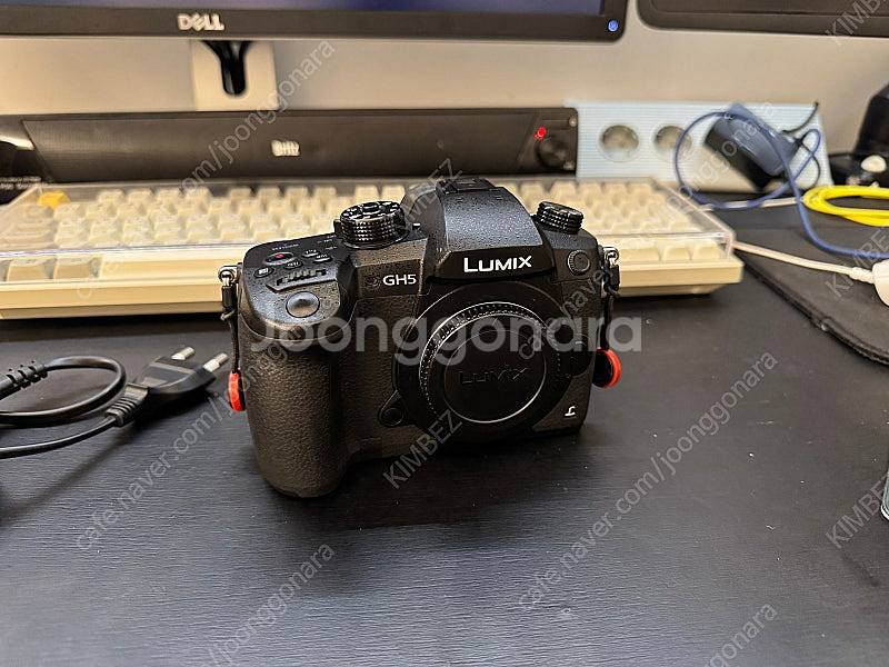 파나소닉 루믹스 gh5 마이크로포서드 카메라 판매--1
