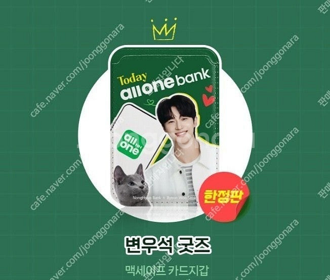 (미개봉) 한정판 변우석 굿즈 (변우석 맥세이프 카드지...--0