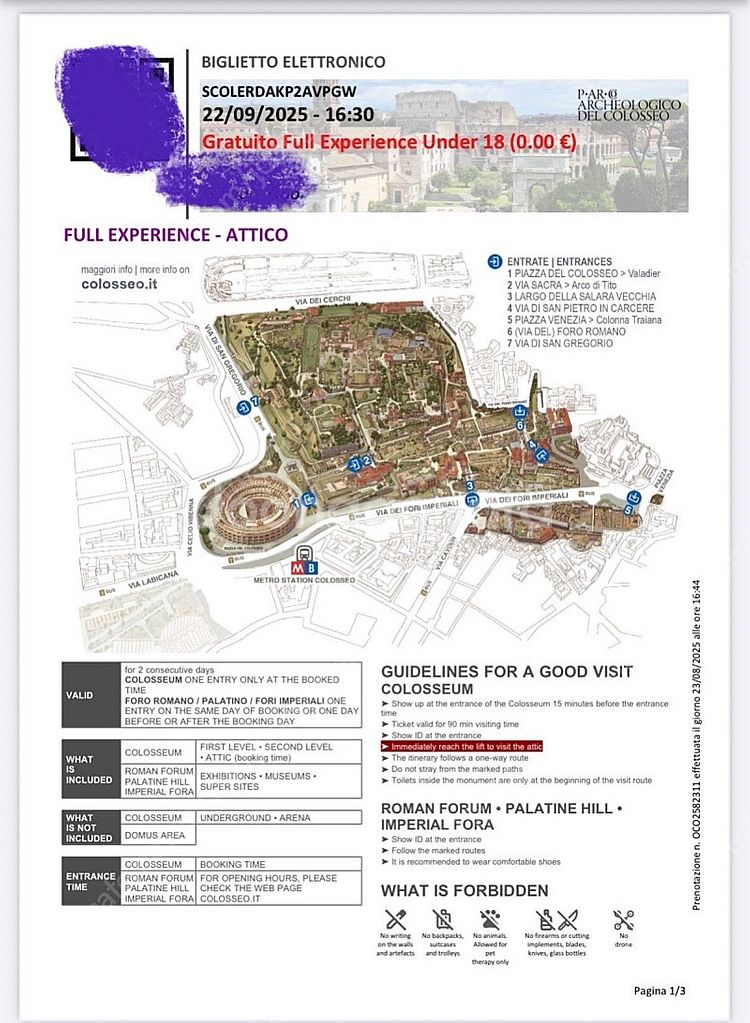 콜로세움 다락 성인2 아동1 2025. 9. 22. 16:30 입장권--0