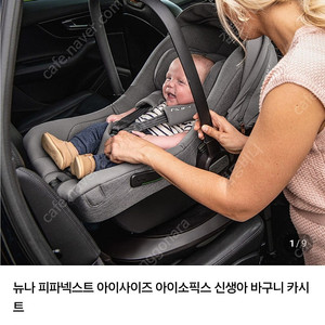 뉴나 바구니 카시트