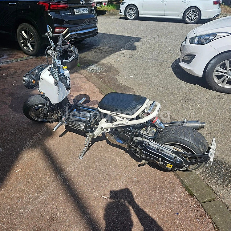 혼다 줌머 빅휠, 엔진스왑--3