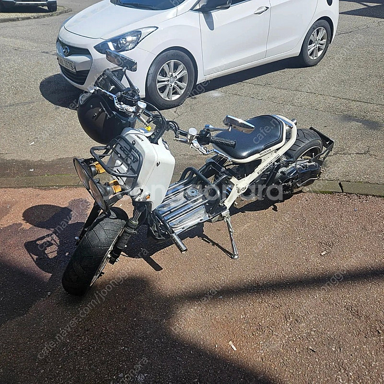 혼다 줌머 빅휠, 엔진스왑--4