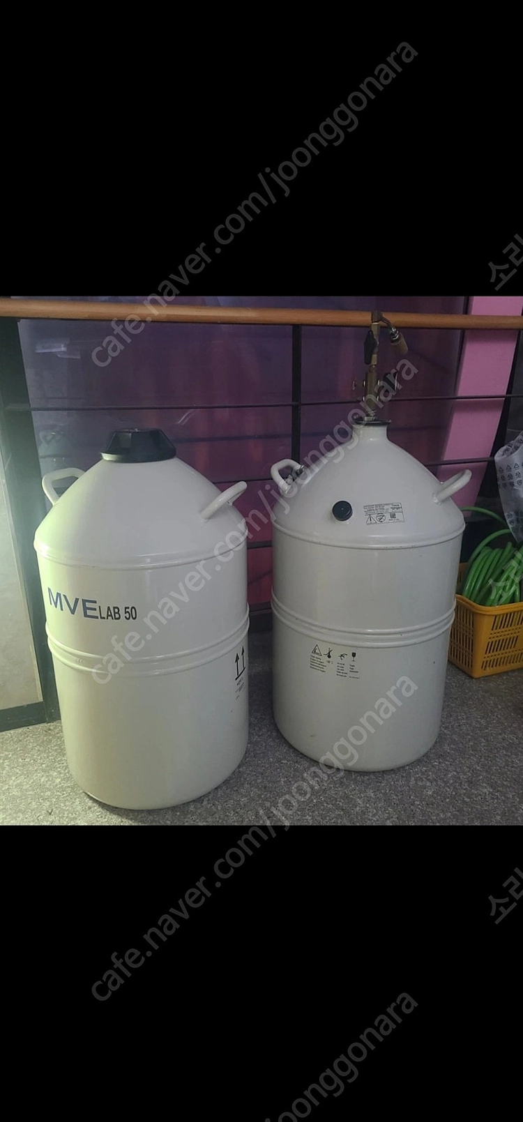 질소통 액체질소(구매합니다)( MVE LAB 50L 제품 ) 액체 질소통 (디바이스포함이나 미포함) 구입하고자 합니... 이미지