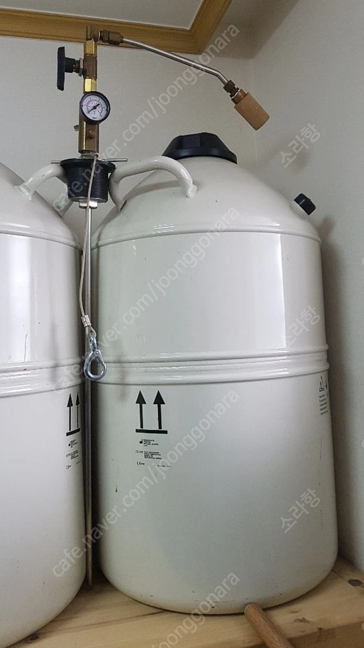 질소통 액체질소(구매합니다)( MVE LAB 50L 제품 ) 액체 질소통 (디바이스포함이나 미포함) 구입하고자 합니... 이미지