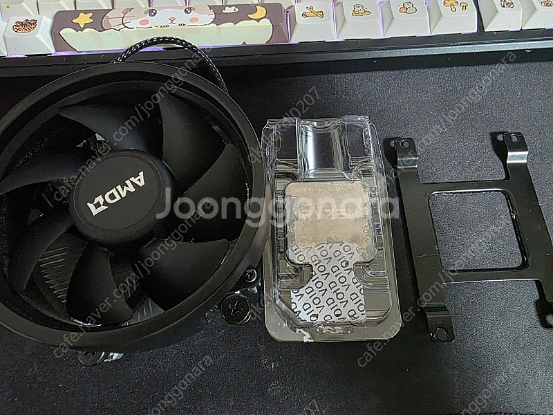 AMD 라이젠5 5500GT--1