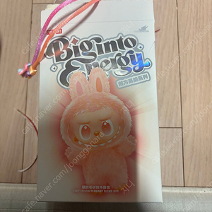 하이라이트 라부부