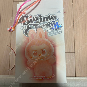 하이라이트 라부부