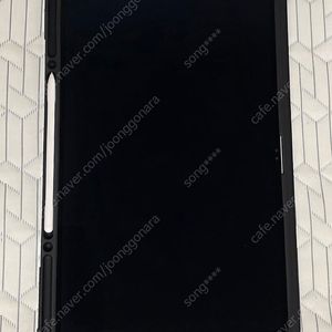 갤럭시탭 s10 울트라 1tb