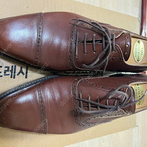 VASS 바쉬 쿼터브로그 브라운 구두 uk6