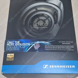 젠하이저 HD800