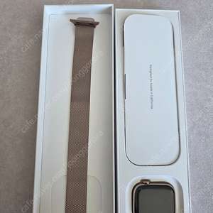 애플워치10 42mm 셀룰러+gps 골드티타늄 급처