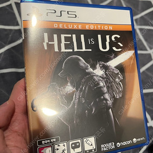 PS5 헬 이즈 어스 (코드 미사용) 팝니다