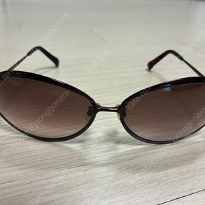 선글라스 캘빈클라인