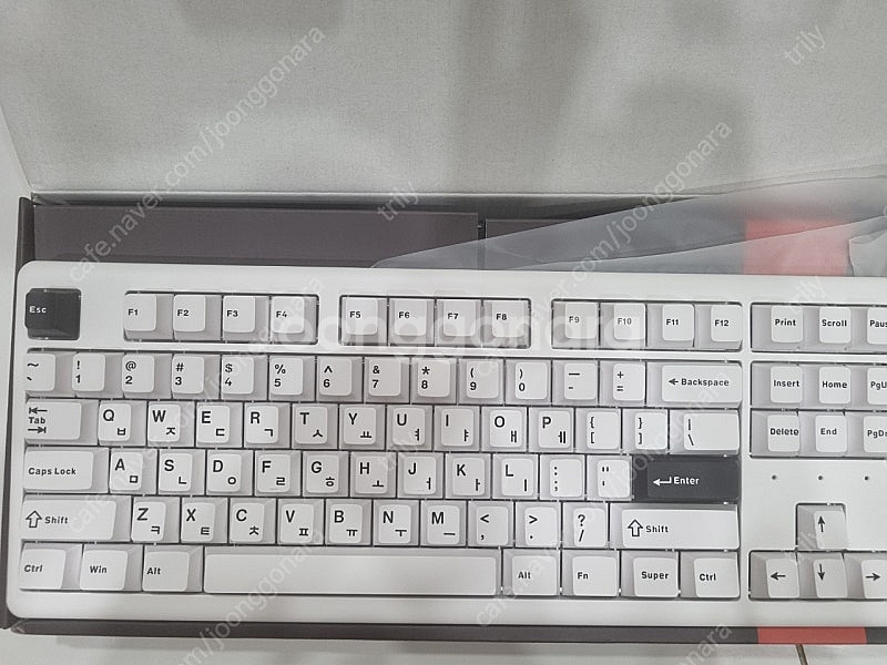 프리플로우 m1 pro tkl 비앤더블류 팝니다--1