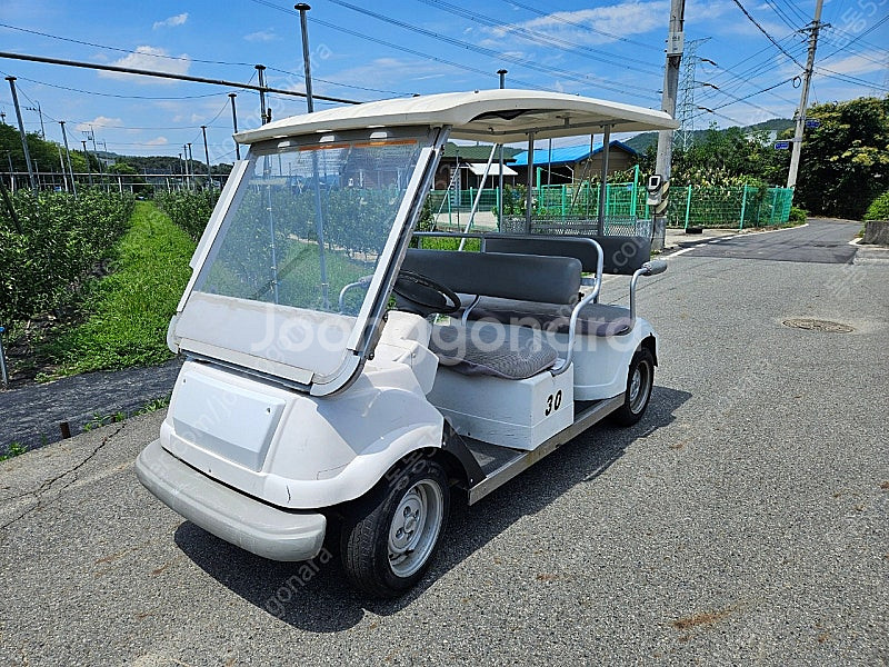 골프카.골프카트--1