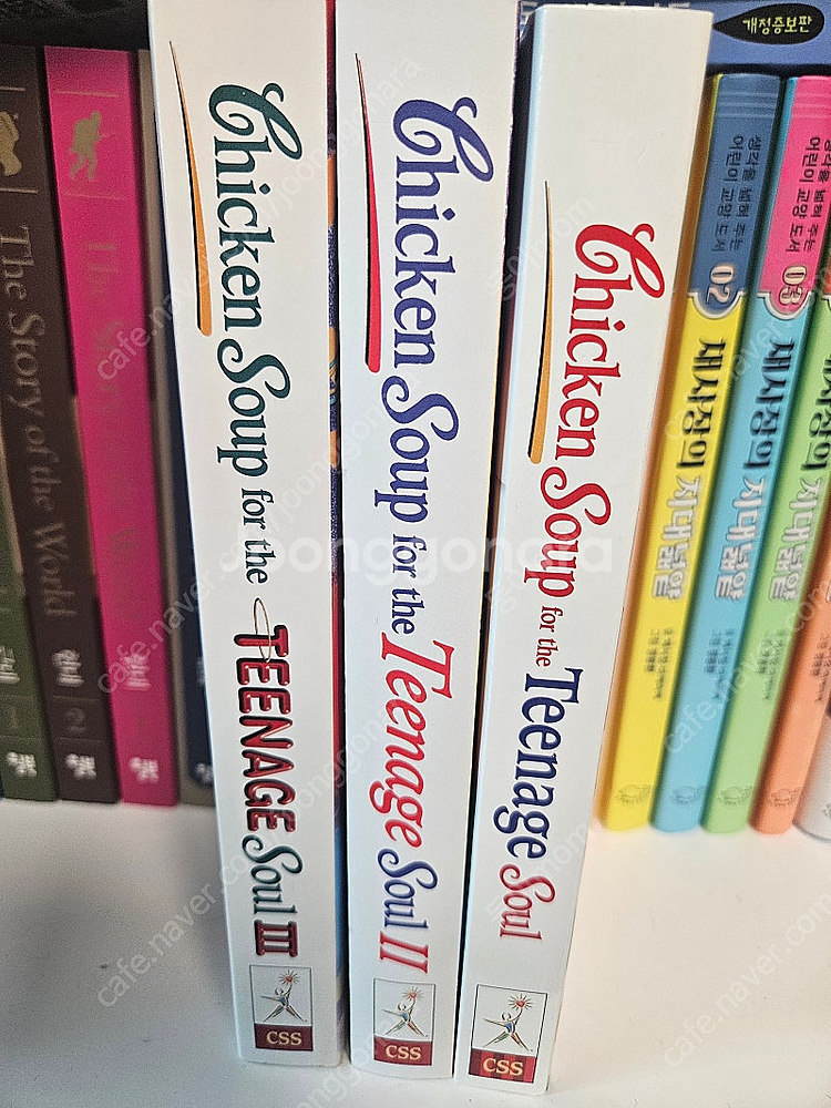 청소년의 영혼을 위한 닭고기 수프 원서 3권(Chicken Soup for the Teenage Soul)--0