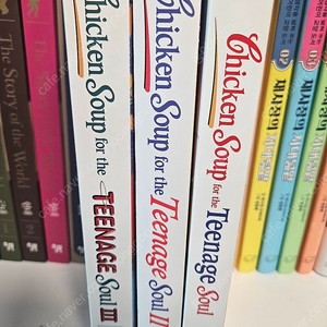 청소년의 영혼을 위한 닭고기 수프 원서 3권(Chicken Soup for the Teenage Soul)