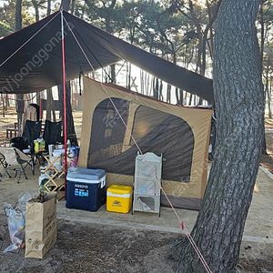 트리니티 타프스크린 이너텐트 샌드색상